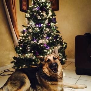 Meet your Posher, Ivan